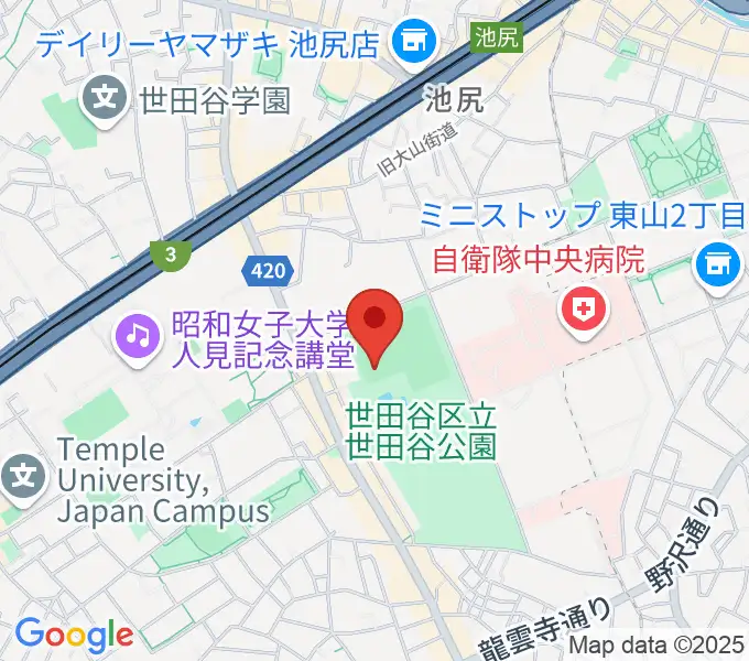 世田谷公園軟式野球場の地図