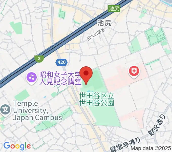 世田谷公園軟式野球場の地図