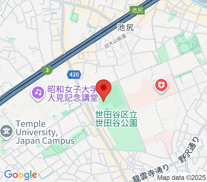 世田谷公園軟式野球場の地図