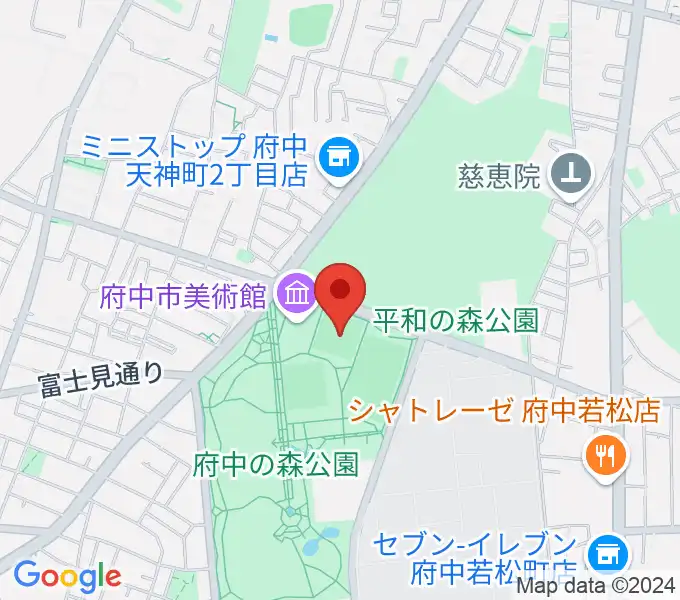 府中の森公園小野球場の地図