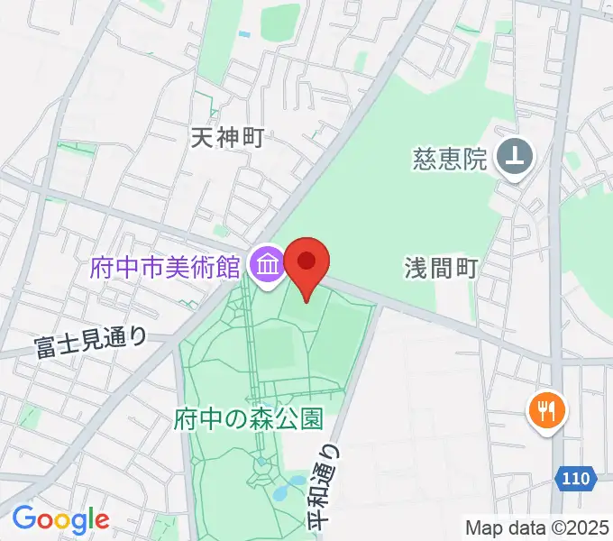 府中の森公園小野球場の地図