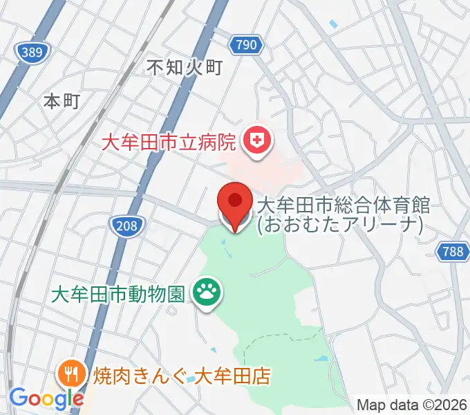 339おおむたアリーナの地図