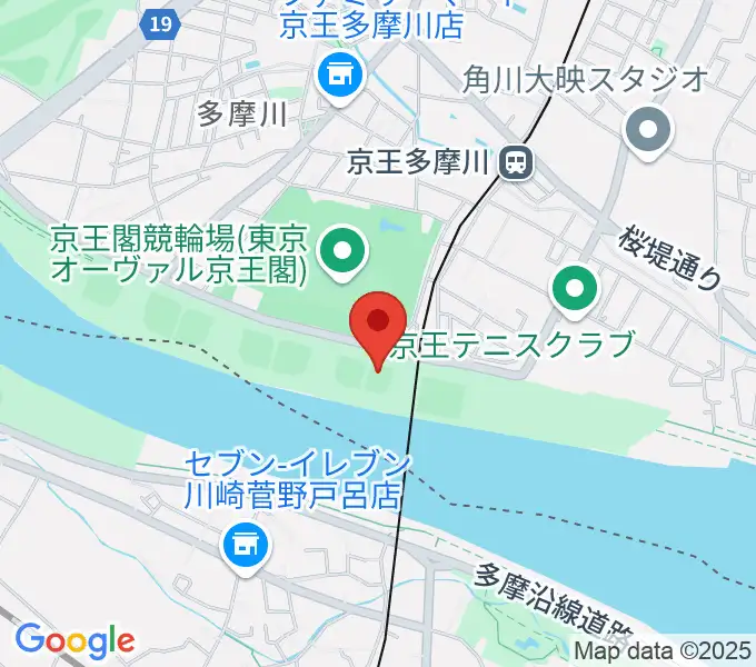多摩川児童公園ソフトボール場の地図