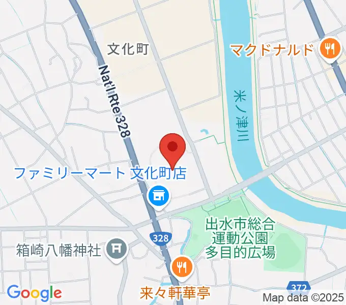 マルマエスタジアム出水の地図