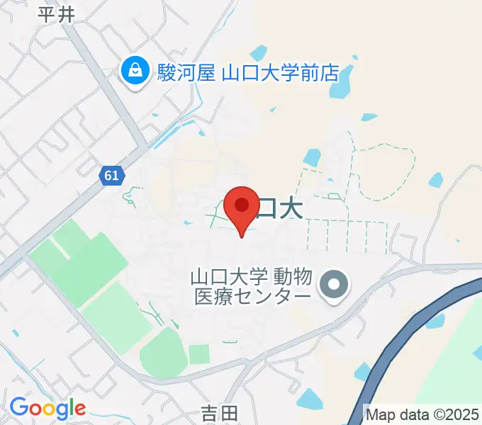 山口大学埋蔵文化財資料館の地図