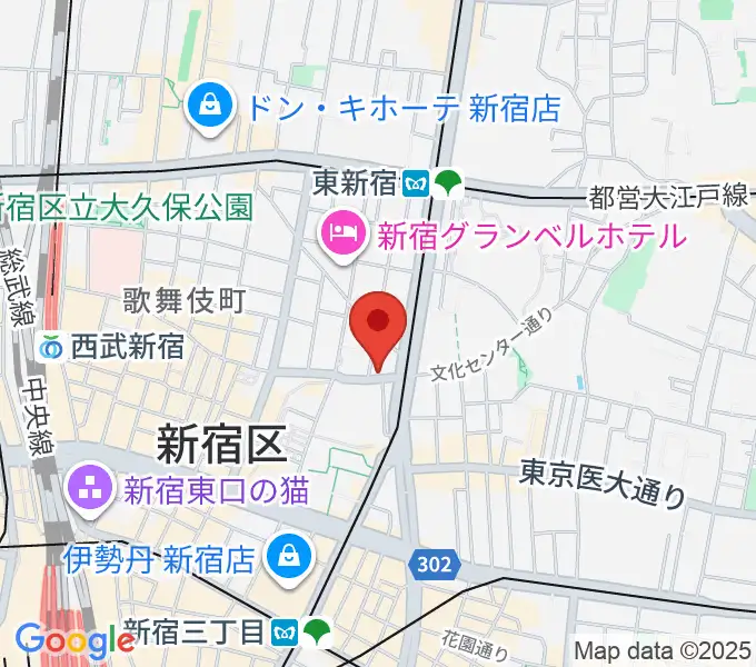 新宿ナインスパイスの地図