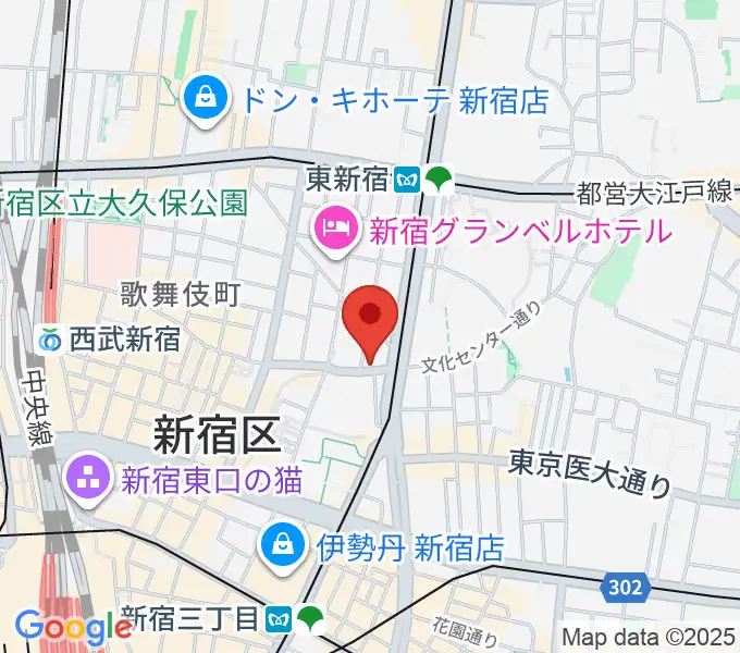 新宿ナインスパイスの地図