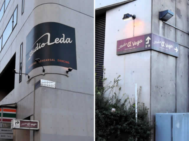 Studio Leda/Studio α Vega