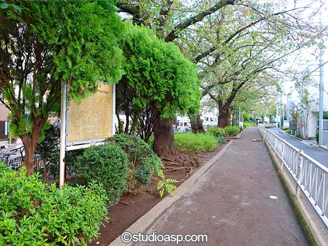 みどりの散歩道